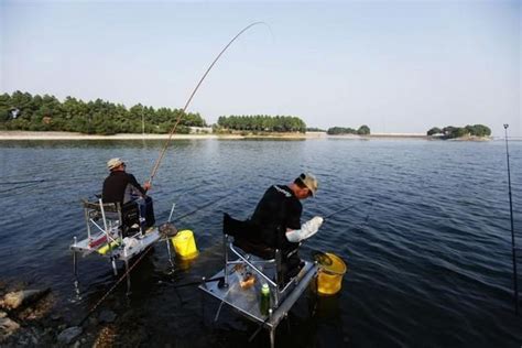 夢見釣到很多魚|夢見釣很多魚，夢到釣很多魚是什麽意思？